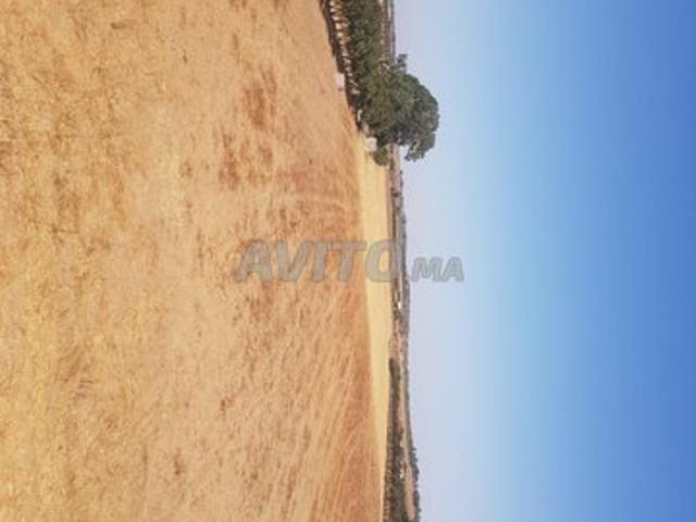 Propriété vente à Gharb-Chrarda-Beni Hssen