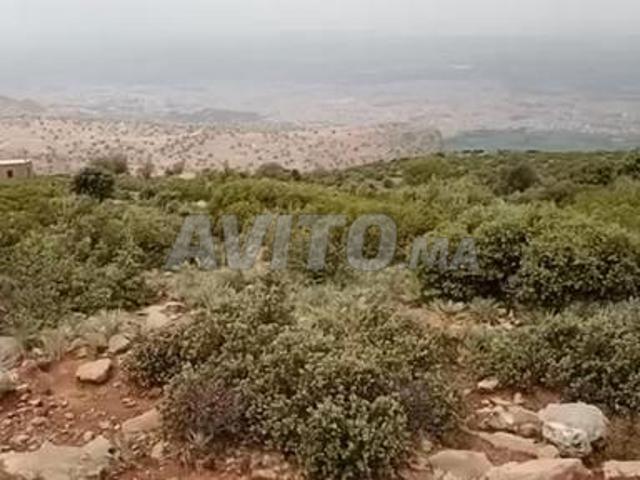 Propriété vente à Mellal