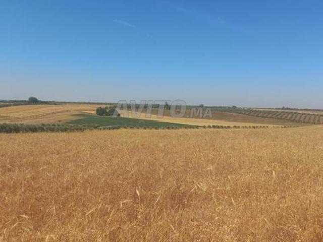 Propriété vente à Meknès