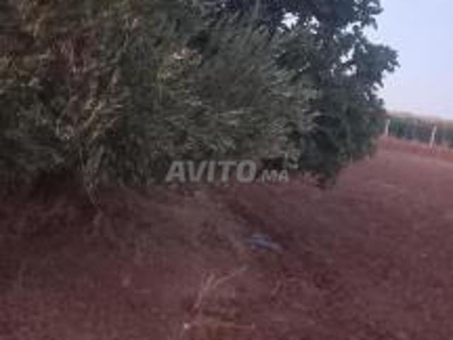 Propriété vente à Meknès
