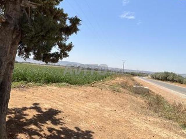 Propriété vente à Meknès