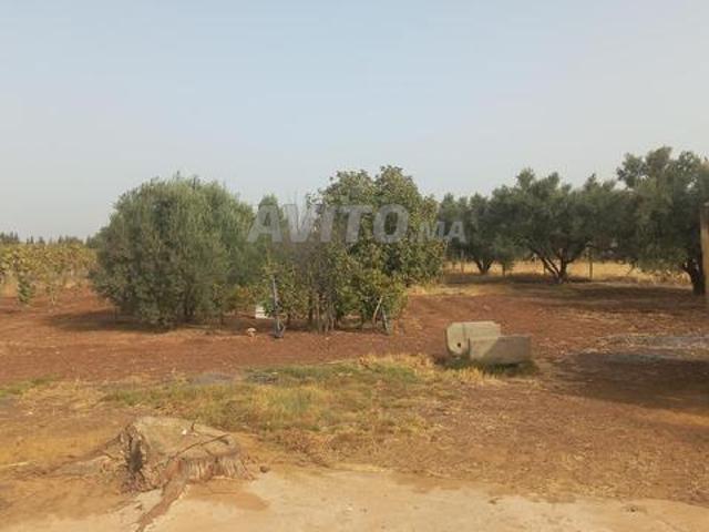 Propriété vente à Meknès