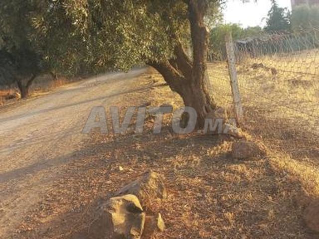 Propriété vente à Meknès