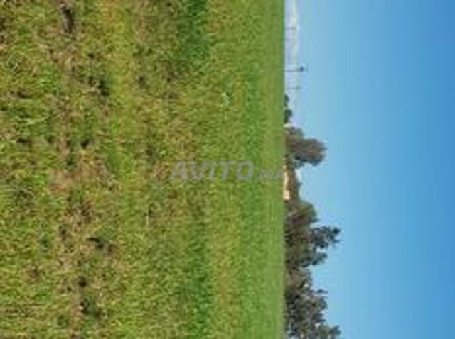 Propriété vente à Gharb-Chrarda-Beni Hssen