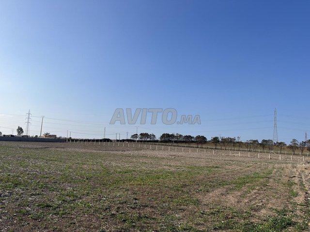 Propriété vente à Slimane, Gharb-Chrarda-Beni Hssen