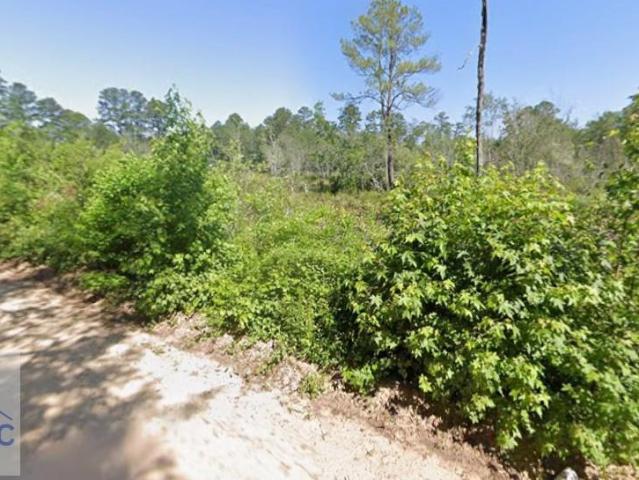 Land for sale in Cobbtown, Georgia