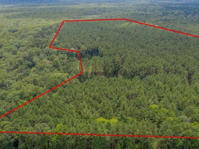 Land for sale in Benton, Louisiana