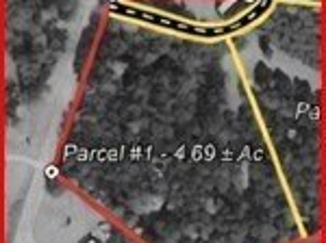 Land for sale in Gordo, Alabama