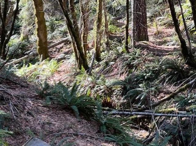 Land for sale in Gasquet, California