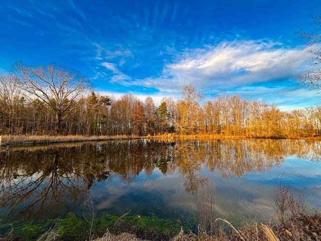 Land for sale in Florence, Alabama