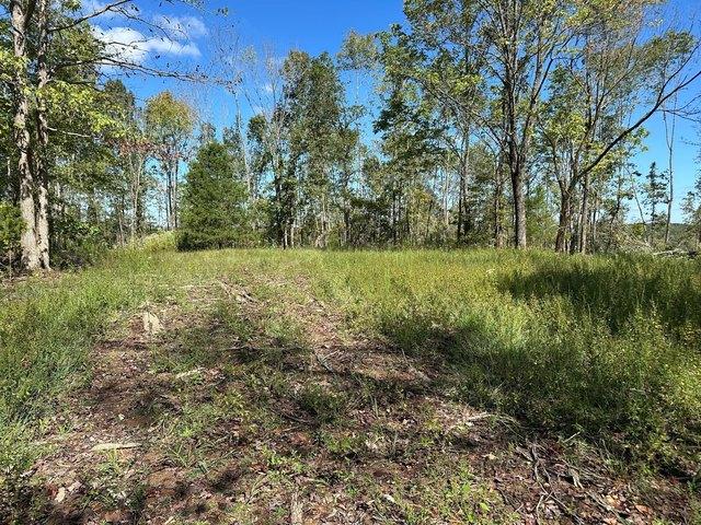 Farm for sale in Tennessee