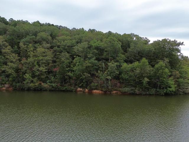 Land for sale in Lookout Valley Acres, Leesburg