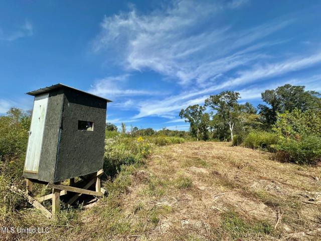 Land for sale in Forest, Mississippi