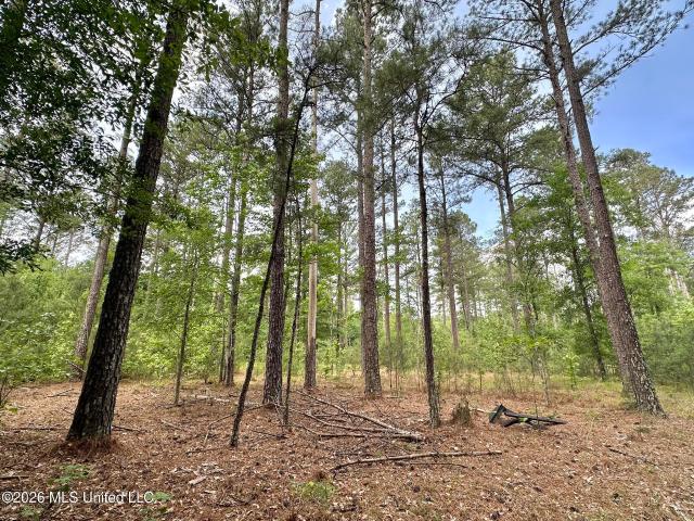 Land for sale in Morton, Mississippi