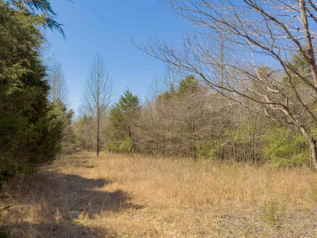 Land for sale in Tennessee