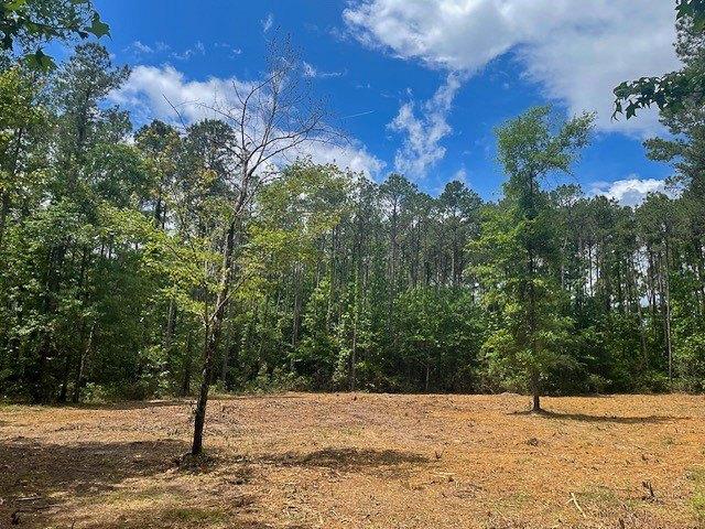 Land for sale in Zavalla, Texas