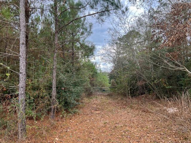 Land for sale in Newton, Texas
