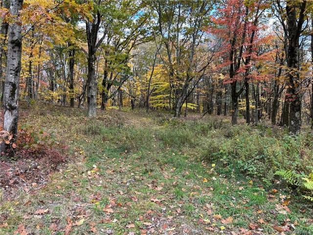 Land for sale in Austerlitz, New York
