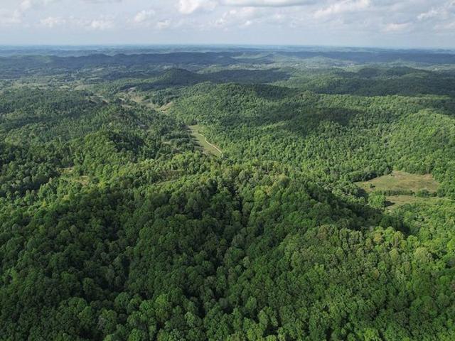 Land for sale in Liberty, Kentucky