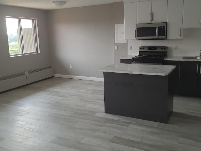 Apartment for rent in Wanup, Ontario