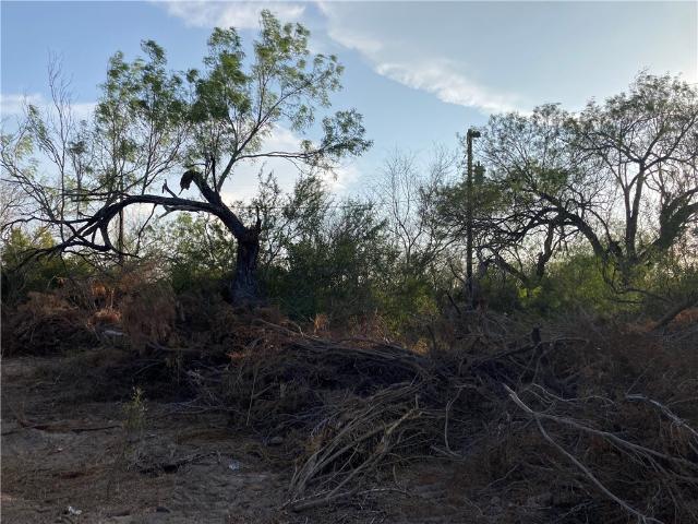 Land for sale in Robstown, Texas