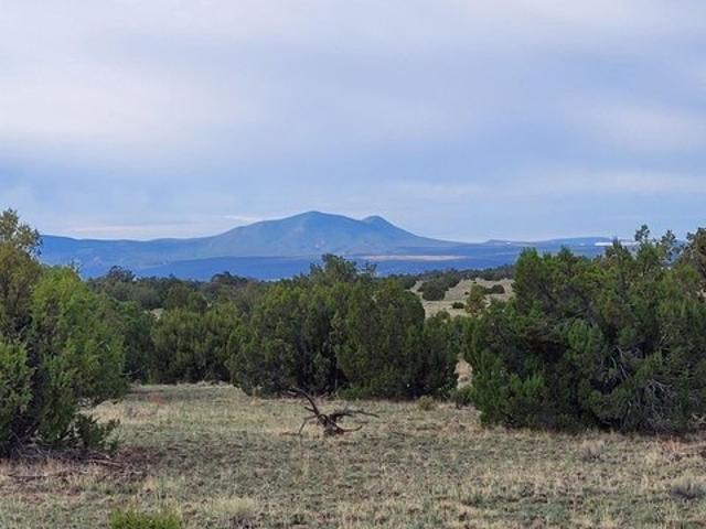 Land for sale in Quemado, Catron County