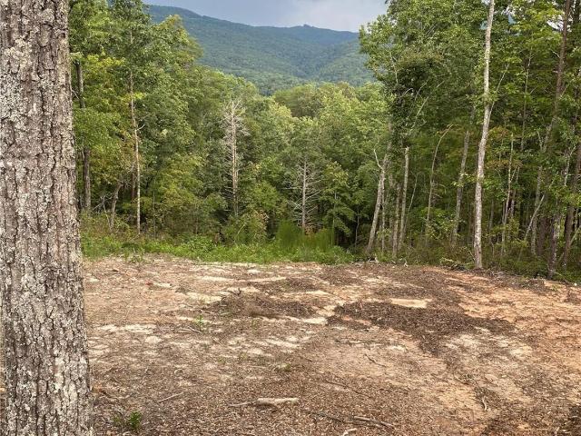 House for sale in North Carolina