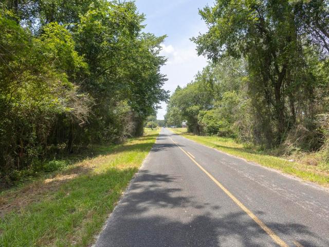 Land for sale in Manning, South Carolina