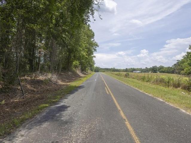 Land for sale in Manning, South Carolina