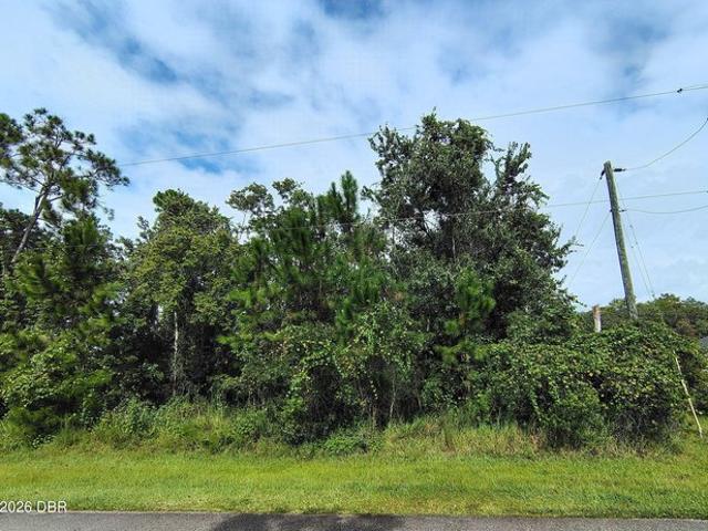 Land for sale in Palm Coast, Flagler County
