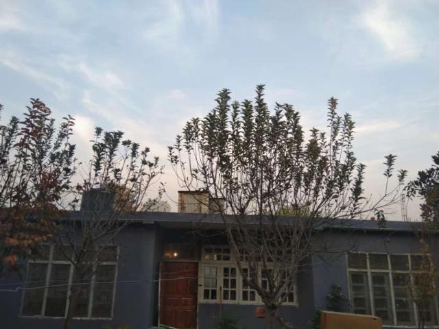 House for sale in Abbottabad, North West Frontier Province