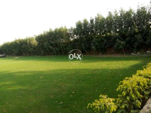 Land for sale in Rawalpindi, Islamabad Capital Territory