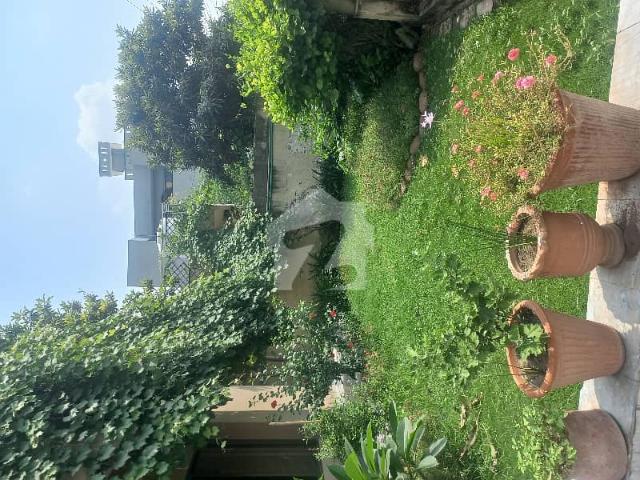 Property for rent in Islamabad