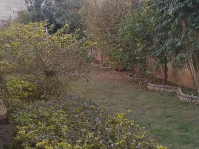 House for rent in Islamabad