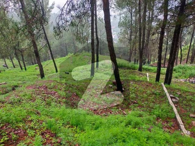 Property for sale in Abbottabad, North West Frontier Province