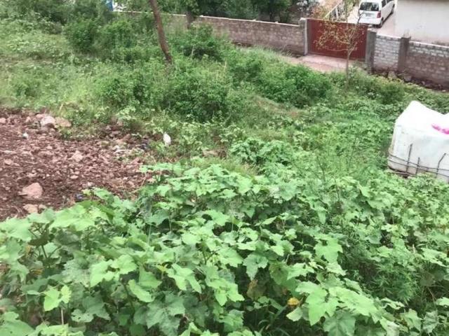 Land for sale in Muzaffarabad, Azad kashmir