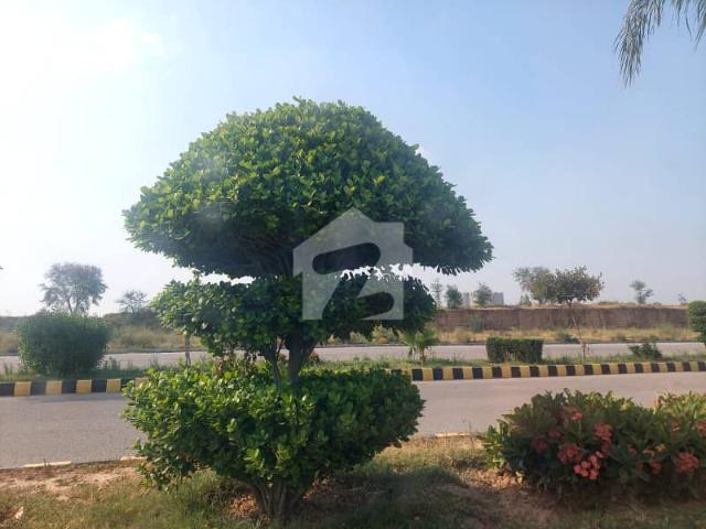 Property for sale in Islamabad