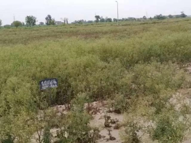 Land for sale in Rawalpindi, Islamabad Capital Territory