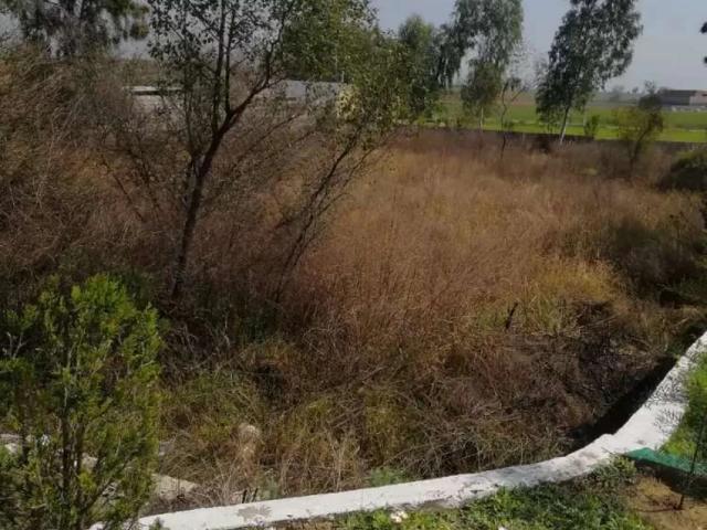 Land for sale in Islamabad