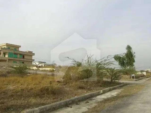 Land for sale in چھوکر, راولپنڈی ڈویژن