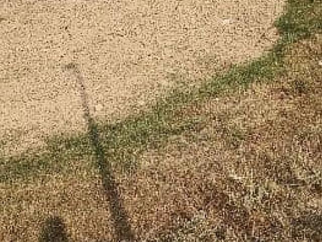Land for sale in Rawalpindi, Islamabad Capital Territory
