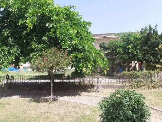 Land for sale in Islamabad