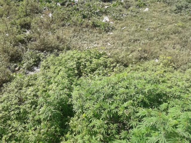 Land for sale in اسلام آباد, زون 1