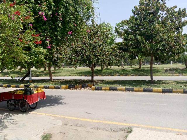 Property for rent in F-10, Islamabad