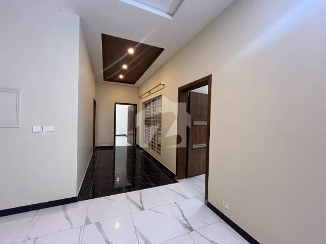 Property for rent in اسلام آباد, زون 1
