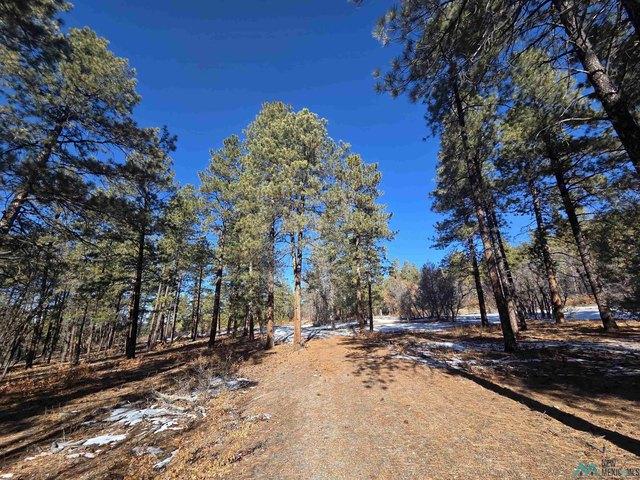 Land for sale in Chama, New Mexico