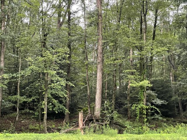 Land for sale in Barnesville, Pennsylvania