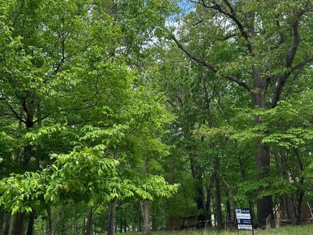 Land for sale in Brandenburg, Kentucky