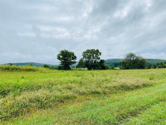 Land for sale in Monticello, Kentucky