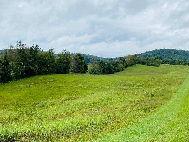 Land for sale in Monticello, Kentucky